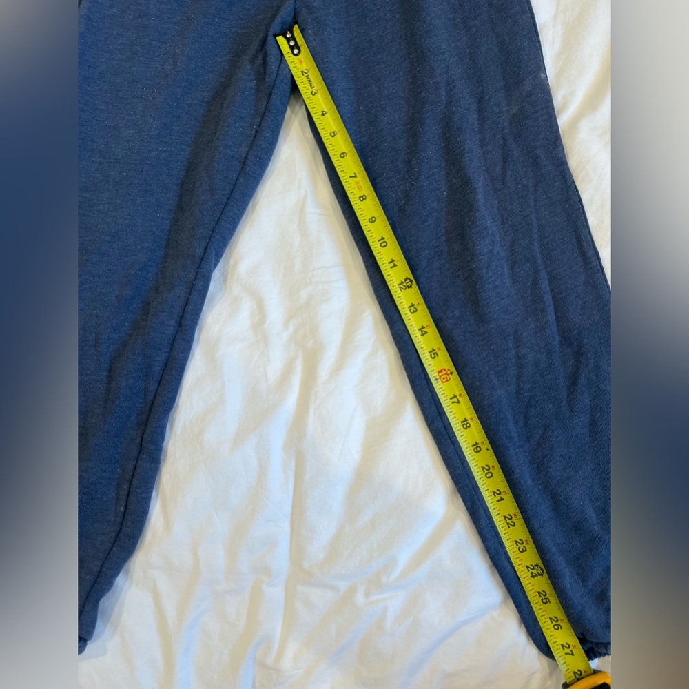 Aerie Blue Track Pants - Picture 5 of 6